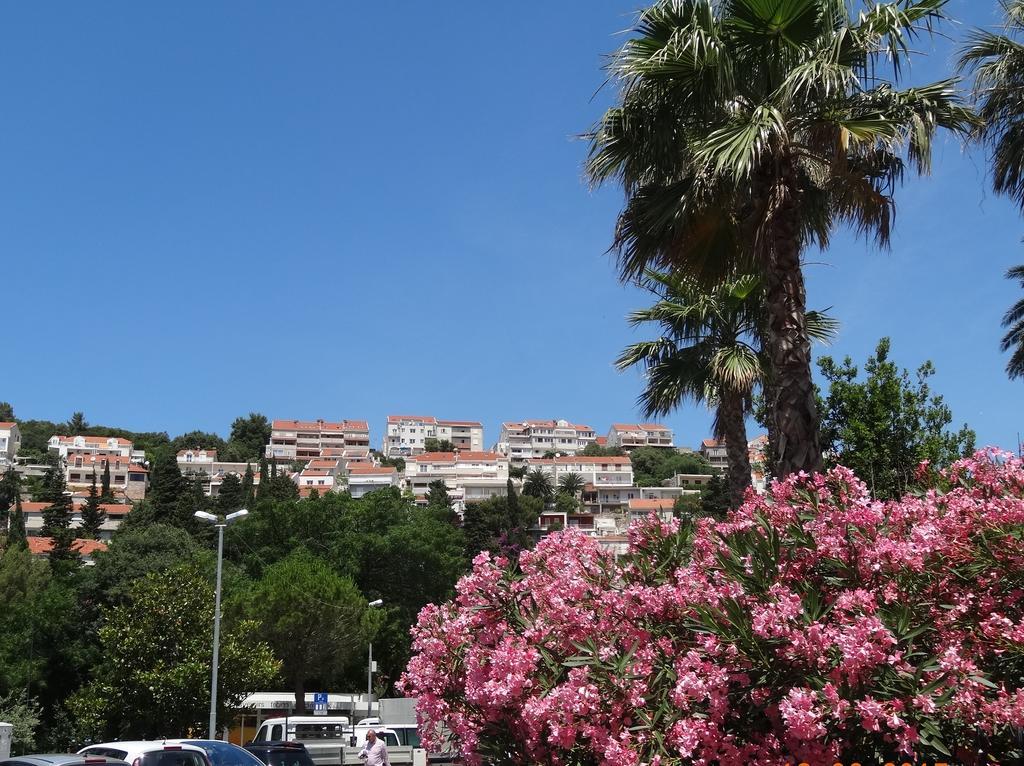 Apartments Roko Dubrovnik Buitenkant foto